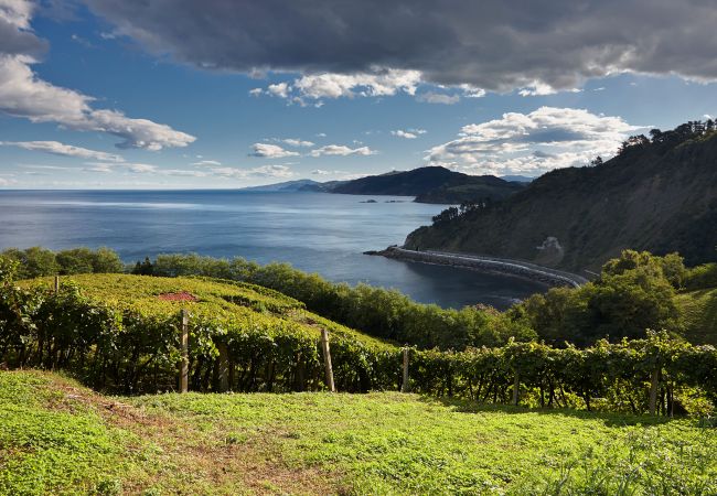 Apartamento en Zarautz - ONDAR-GAIN Apartamento en Zarautz - ONDAR-GAIN