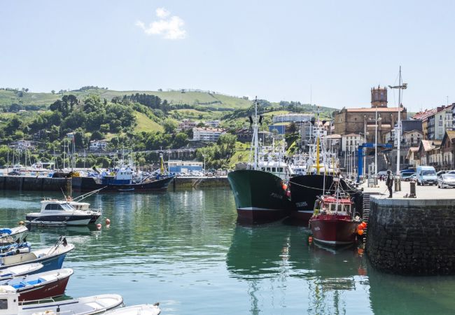 Apartamento en Getaria - PELAIO ETXEA Apartamento en Getaria - PELAIO ETXEA