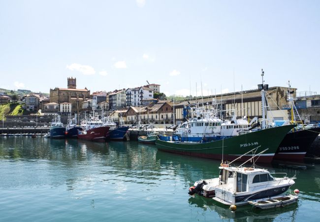 Casa en Getaria - ALTAMIRA Casa en Getaria - ALTAMIRA