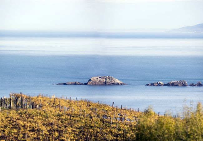 Vil.la en Zarautz - VILLA  ARESTI Vil.la en Zarautz - VILLA  ARESTI