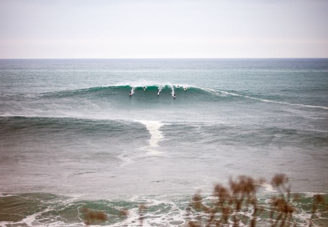 Apartament en Zarautz - MANDABIDE Apartament en Zarautz - MANDABIDE