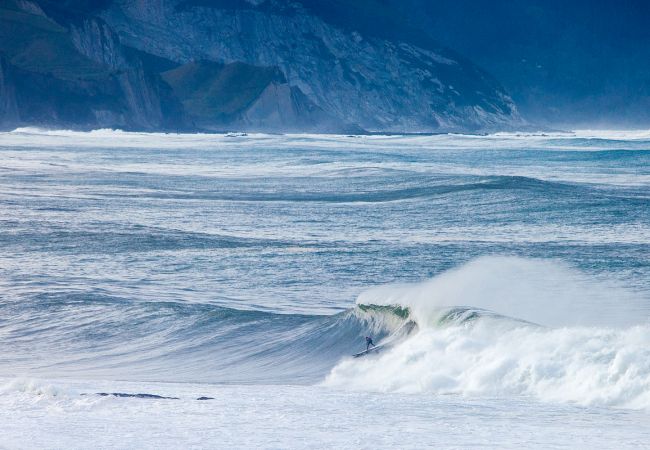 Apartament en Zarautz - MANDABIDE Apartament en Zarautz - MANDABIDE