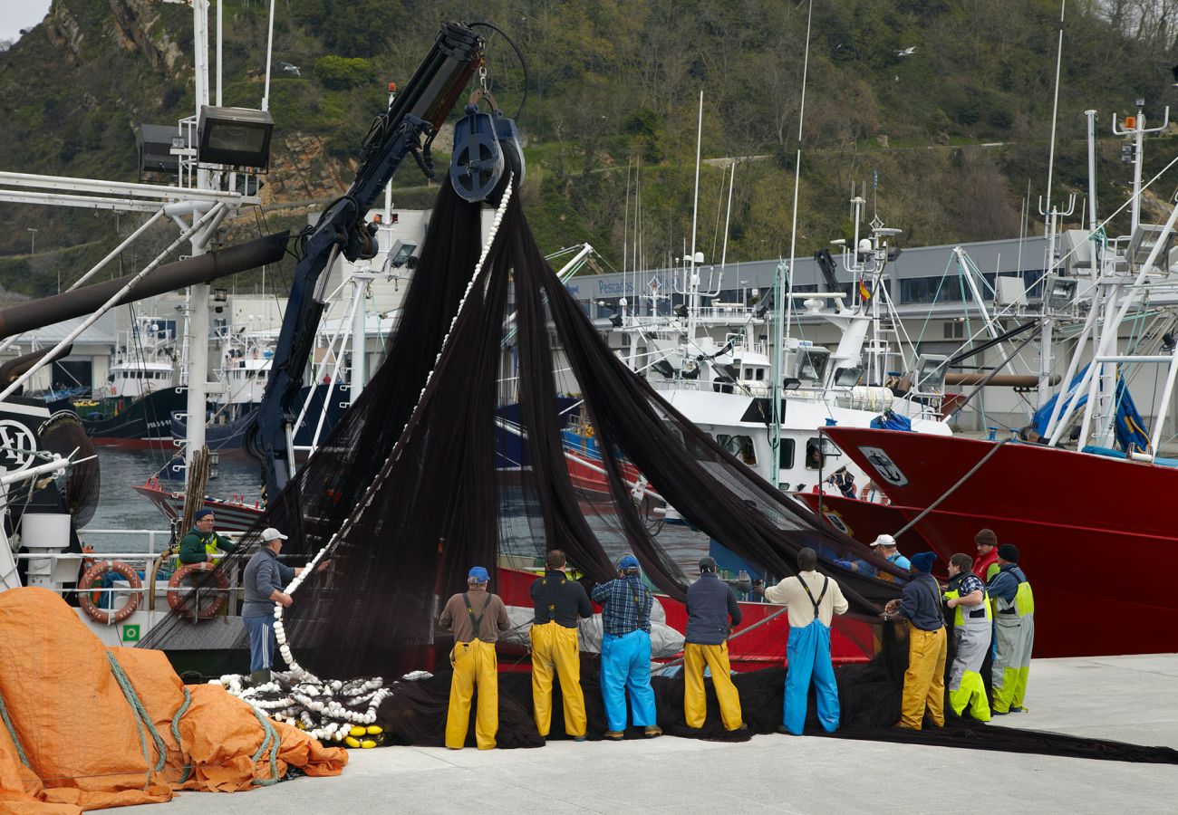 Casa en Getaria - ALTAMIRA Casa en Getaria - ALTAMIRA