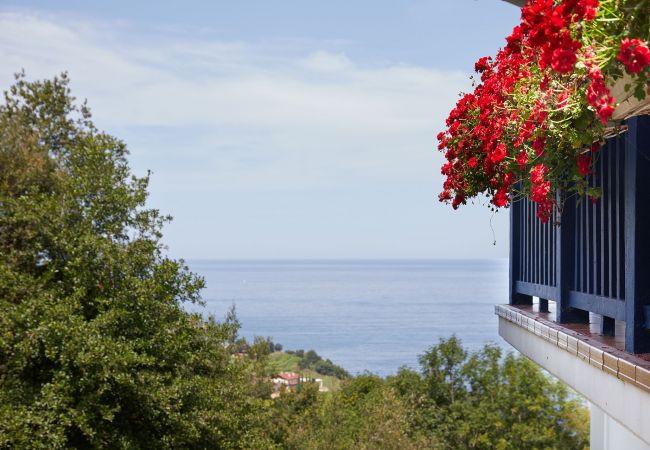 Cottage in Getaria - LAZKANO -ENEA Cottage in Getaria - LAZKANO -ENEA