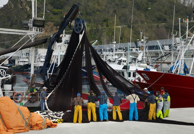 Apartment in Getaria - GAZTETAPE I Apartment in Getaria - GAZTETAPE I