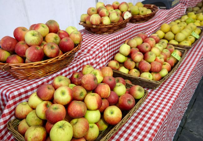 Apartment in Getaria - GAZTETAPE I Apartment in Getaria - GAZTETAPE I