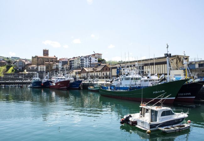 Apartment in Getaria - GAZTETAPE I Apartment in Getaria - GAZTETAPE I