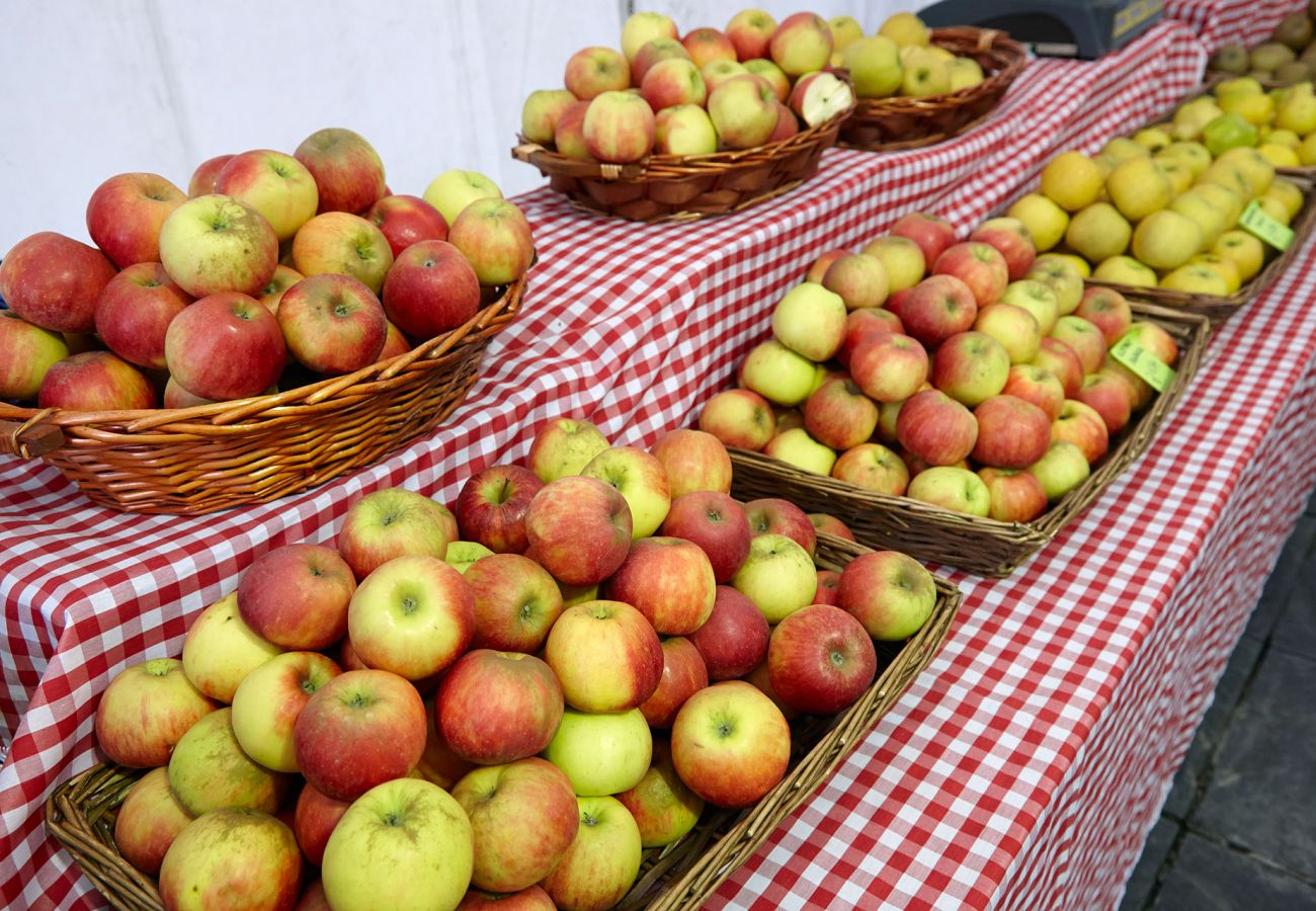 Apartment in Getaria - GAZTETAPE I Apartment in Getaria - GAZTETAPE I