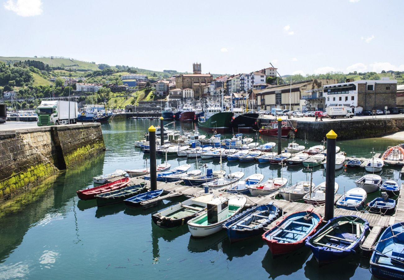 Apartment in Getaria - GAZTETAPE I Apartment in Getaria - GAZTETAPE I