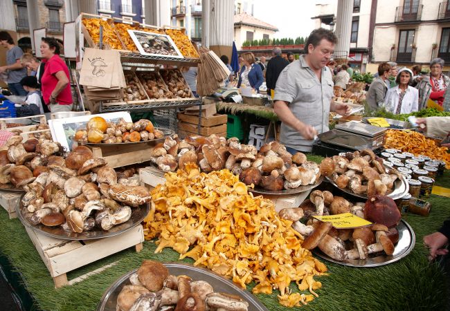 Apartment in Zarautz - MANDABIDE Apartment in Zarautz - MANDABIDE